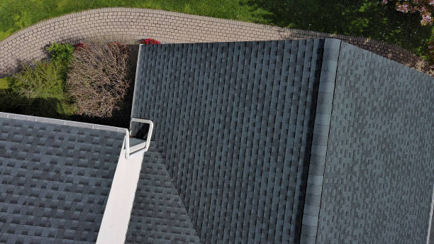 Best Roof Moss and Algae Removal  in Glandorf, OH